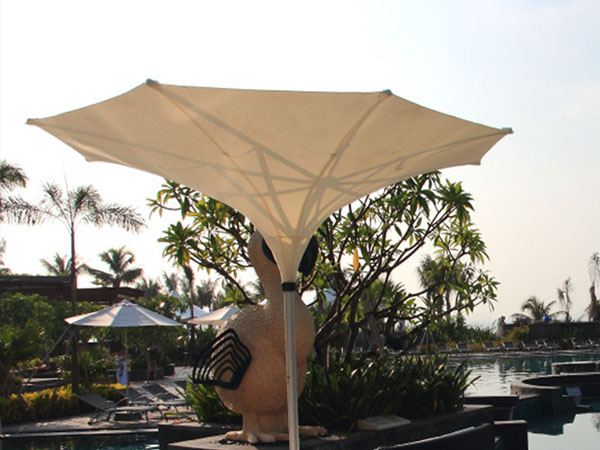 Umbrella